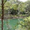 McCarr's Creek, Pittwater, near Lovett Bay